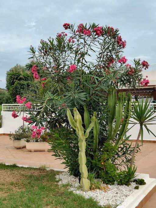 Spacious And Luxurious Apartment Mojácar Exterior foto